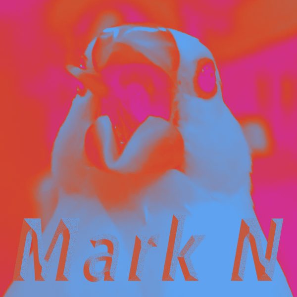 Mark N Mark N